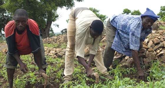 farming-in-ghana